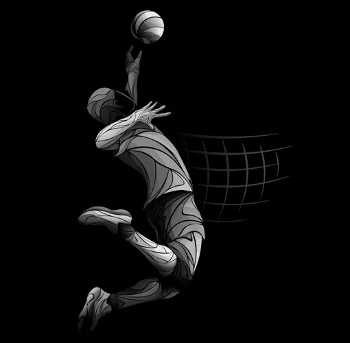 Volleyball